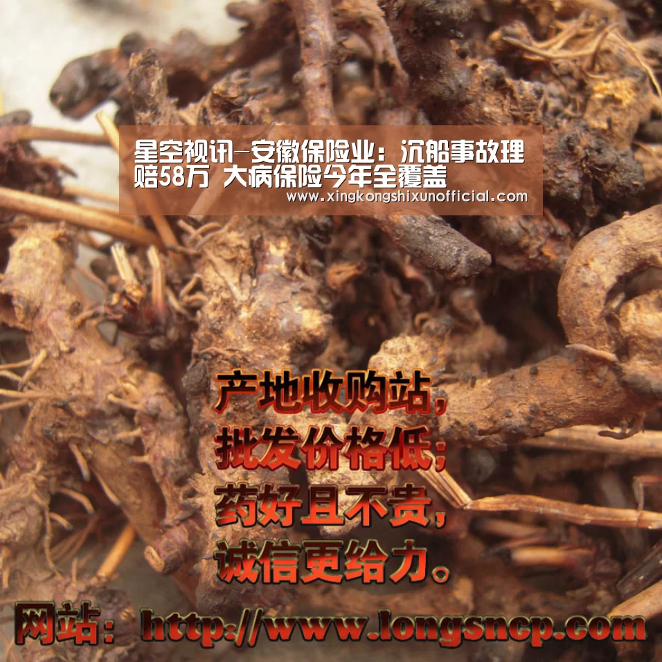 星空视讯-安徽保险业:沉船事故理赔58万 大病保险今年全覆盖(图3) 星空官网
