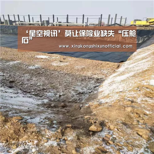 ‘星空视讯’莫让保险业缺失“压舱石”(图2) 星空官网